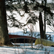 Illustration for article titled Roll 1: Kodak Portra 400